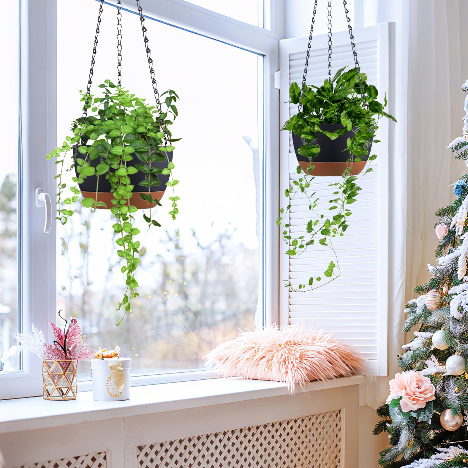 Kvetto planter for small to medium plants like ivy and petunia