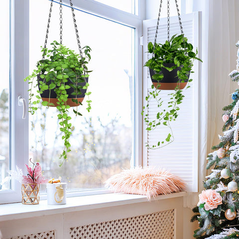 Kvetto planter for small to medium plants like ivy and petunia