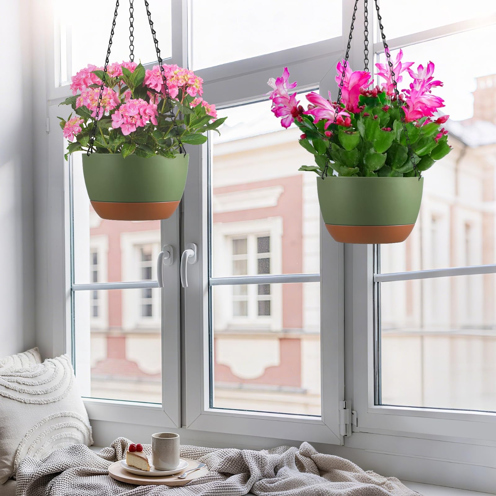 Kvetto pairs well with spider plant, ivy, petunia, philodendron for vibrant displays.