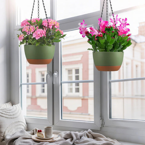 Kvetto pairs well with spider plant, ivy, petunia, philodendron for vibrant displays.