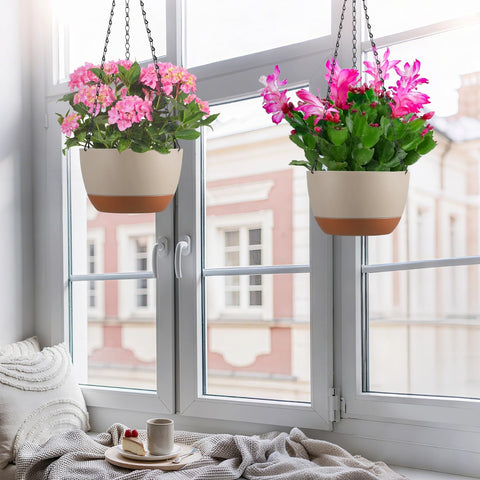 Kvetto spider plant and ivy display for a vibrant indoor scene.