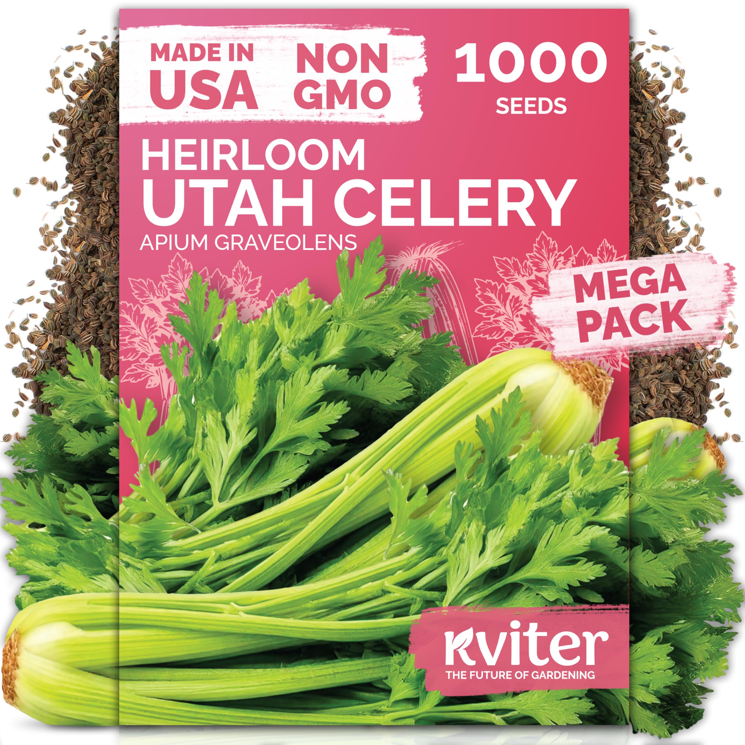 KVITER 1000 Tall Utah Celery Seeds Pack for tall stalks and home garden planting.