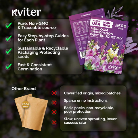 KVITER 12-inch mound form demonstrates compact color splash in containers or borders.
