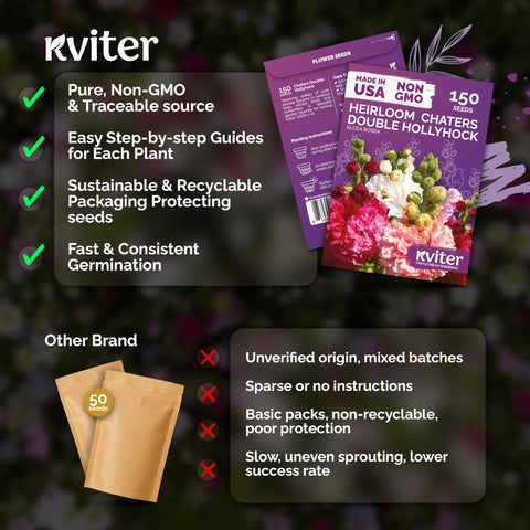 KVITER 150 Chaters hollyhock blooms provide long-season color from midsummer to fall.