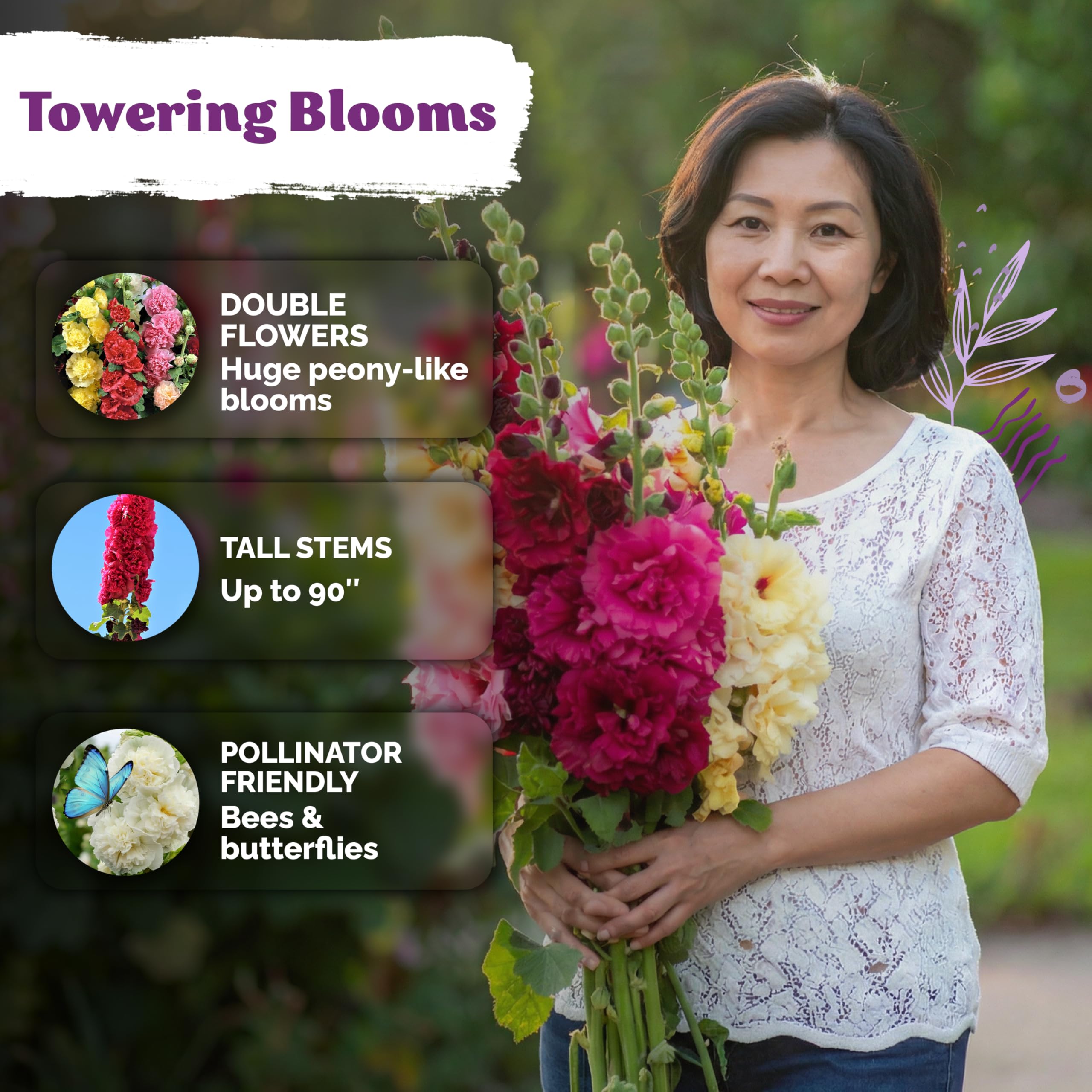 KVITER hollyhock seeds grow tall stalks up to 7.5 feet for garden drama.