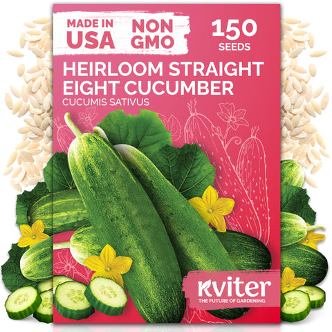 KVITER 150 Straight Eight cucumber seeds pack ready for organic home planting