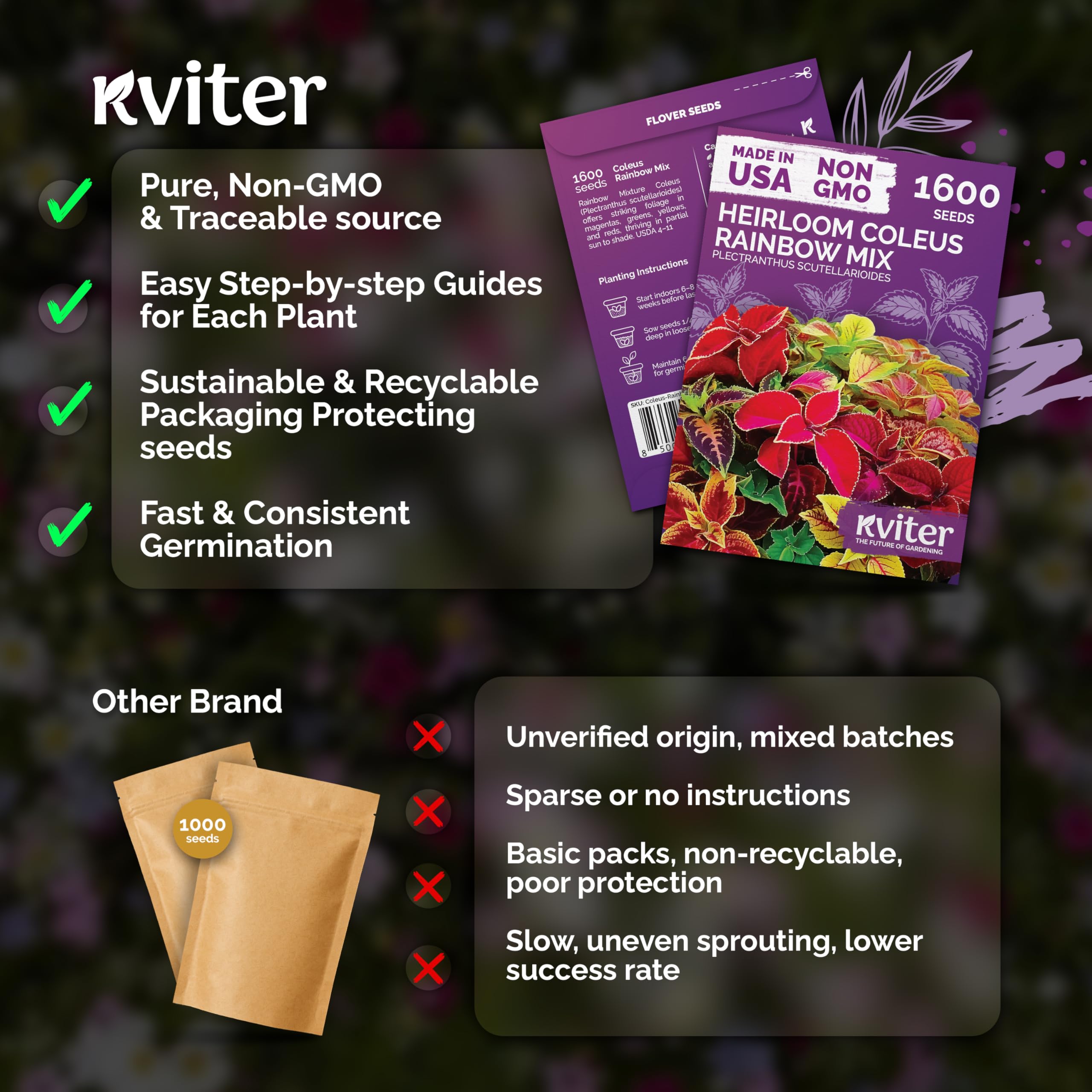 KVITER 1600 Rainbow Coleus seeds border and patio color blocks for containers