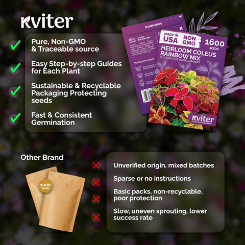 KVITER 1600 Rainbow Coleus seeds border and patio color blocks for containers