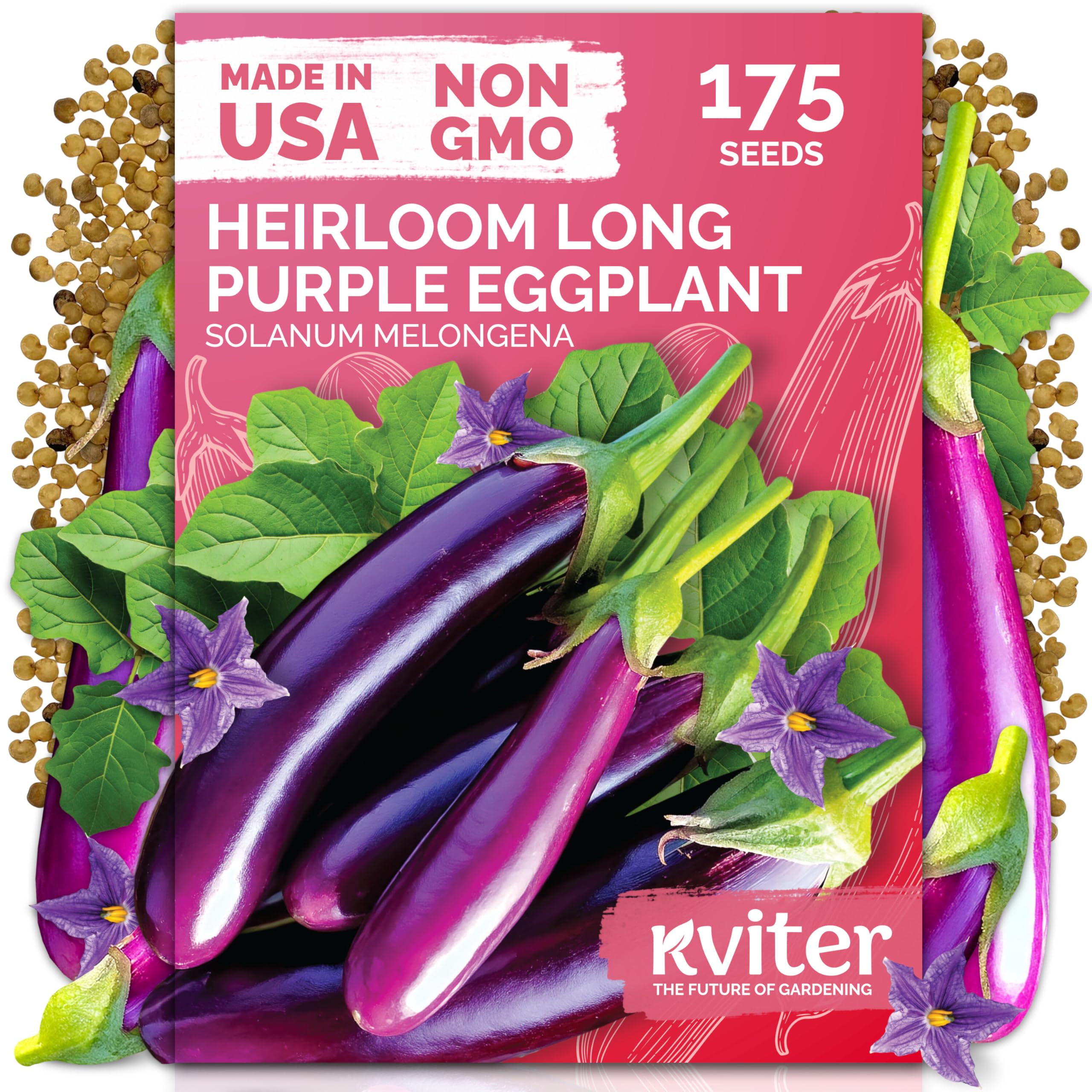 KVITER 175 long purple eggplant seeds pack for home gardens with high yield potential
