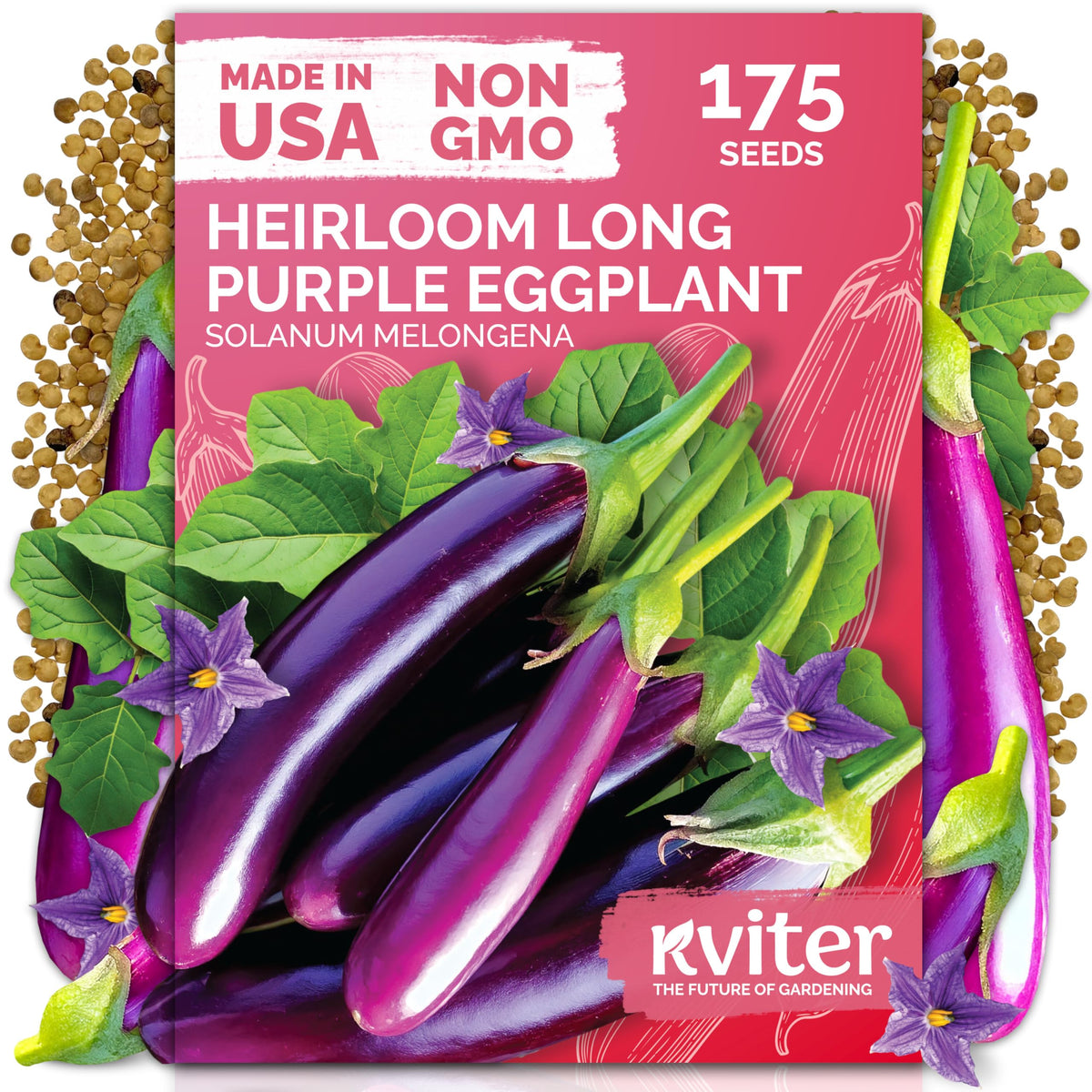 KVITER 175 long purple eggplant seeds pack for home gardens with high yield potential