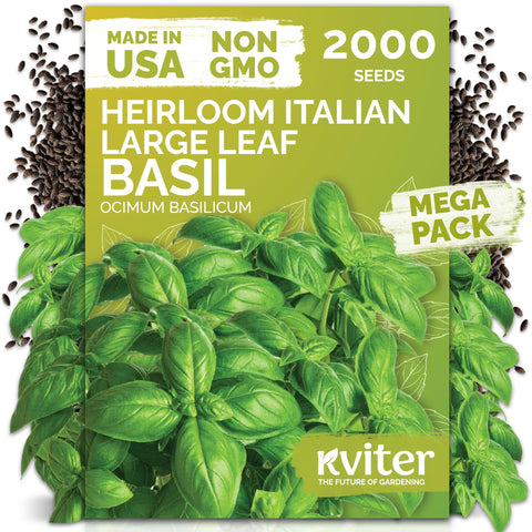 KVITER 2000 Italian basil seeds packet for indoor and outdoor planting.