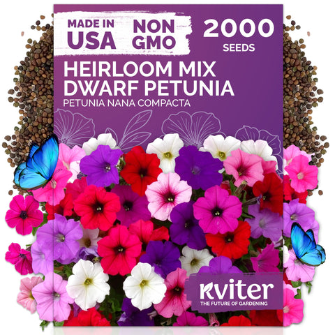 KVITER 2000-mix dwarf petunia seeds packet ready for easy color in beds and containers.