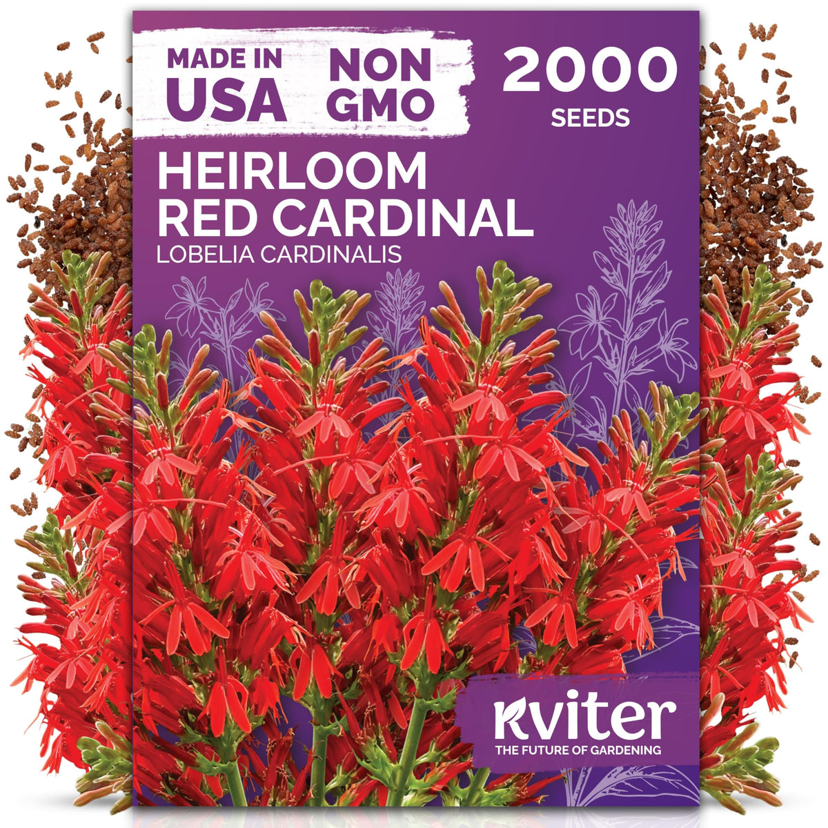 KVITER 2000 red cardinal blooms seeds for vibrant border and container displays.