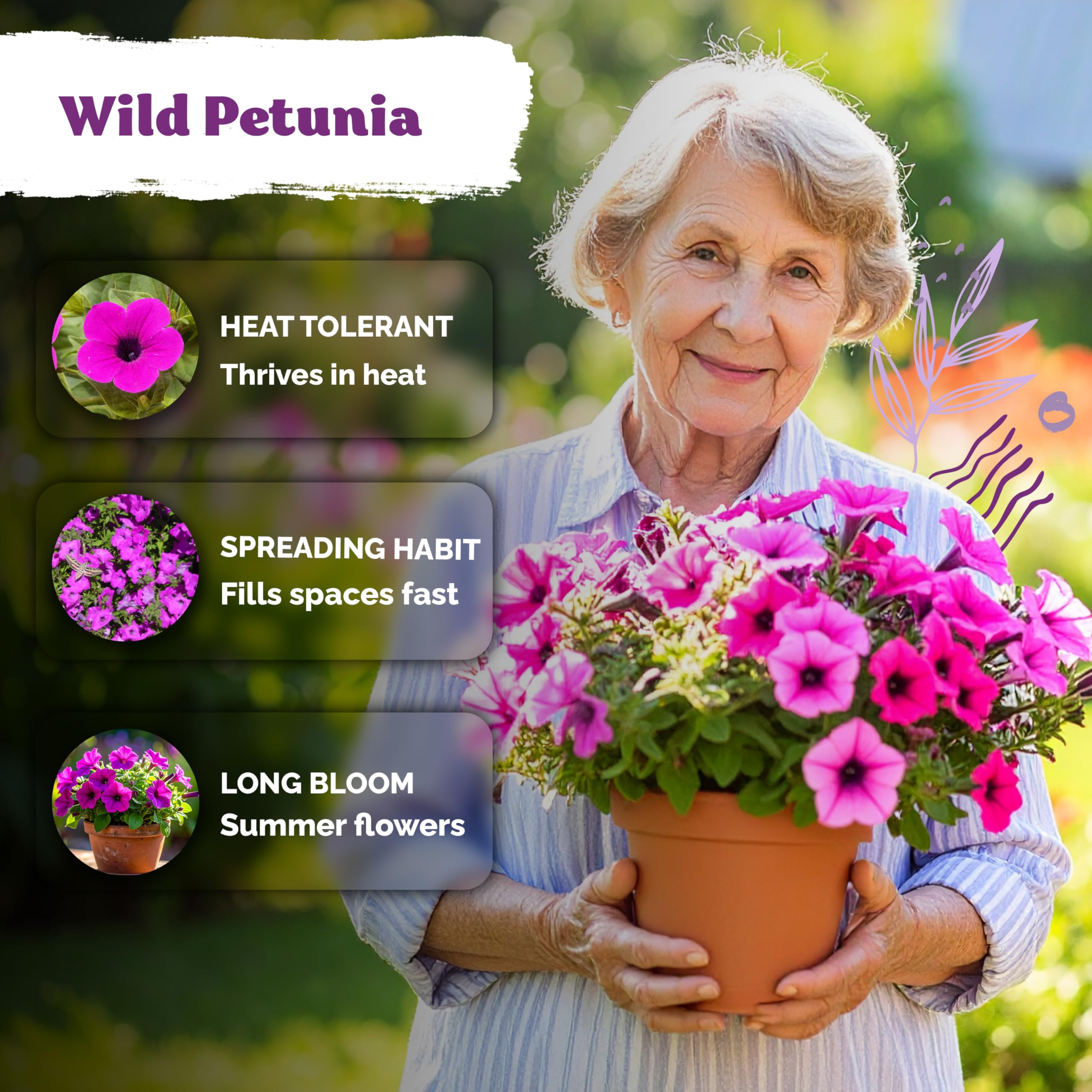 KVITER hanging-basket-ready seeds promote 12-inch trailing petunia displays.