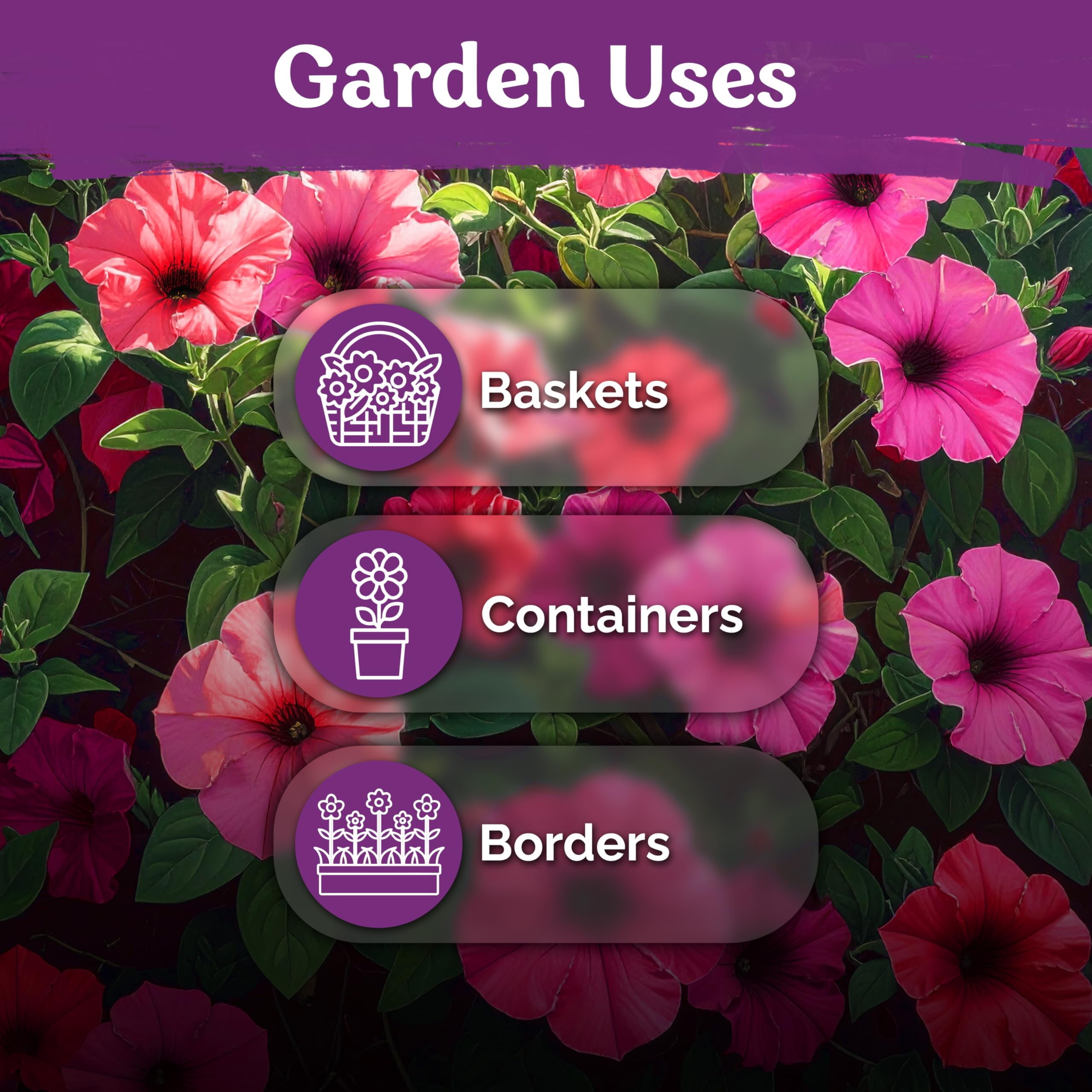 KVITER pollinator-friendly blooms attract hummingbirds and butterflies to your garden.