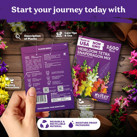 KVITER 3,000 seeds pack enables bold, repeat plantings for ongoing bloom.