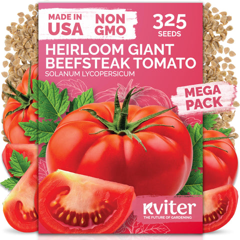 KVITER 325 giant beefsteak tomatoes seeds pack ready for planting in sunny beds.