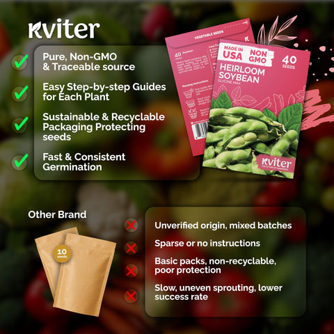 KVITER 40 harvested edamame pods showing bright green color