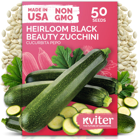 KVITER 50 Black Beauty zucchini seeds ready for planting and a prolific summer harvest.