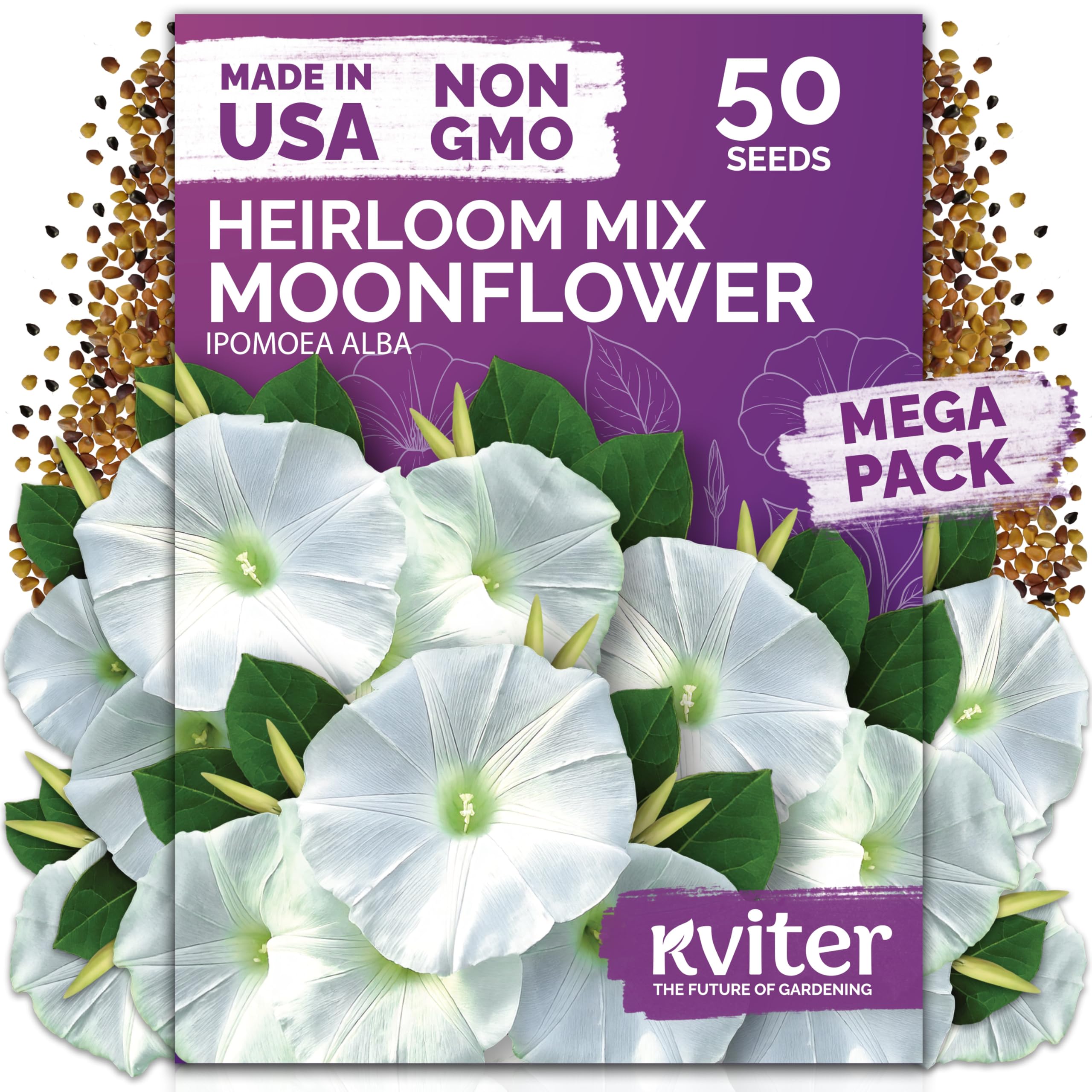 KVITER Moonflower seeds pack front view with brand label, easy to identify for planting