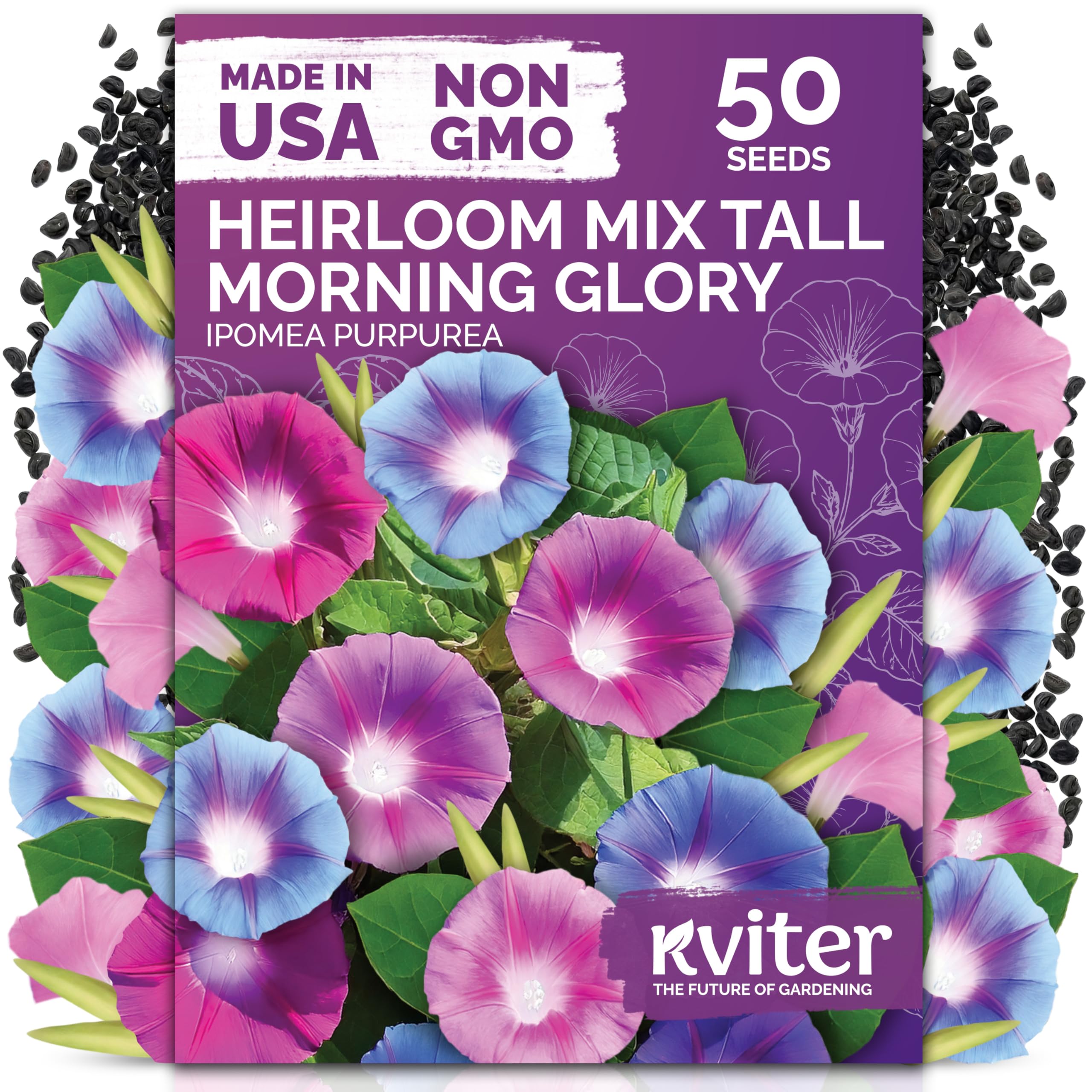 KVITER 50 Tall Morning Glory Seeds Mix packet, fast germination for vibrant climbing blooms