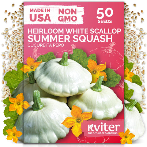 KVITER 50 White Patty Pan Seeds Pack ready for reliable home garden planting.