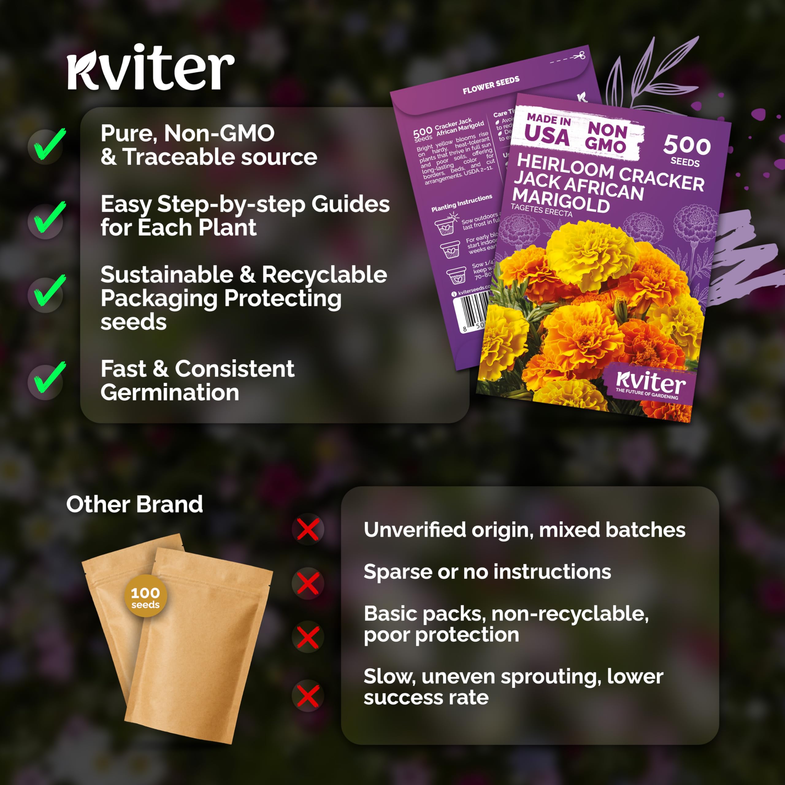 KVITER 500 Cracker Jack Marigold Seeds potted display with bold petals