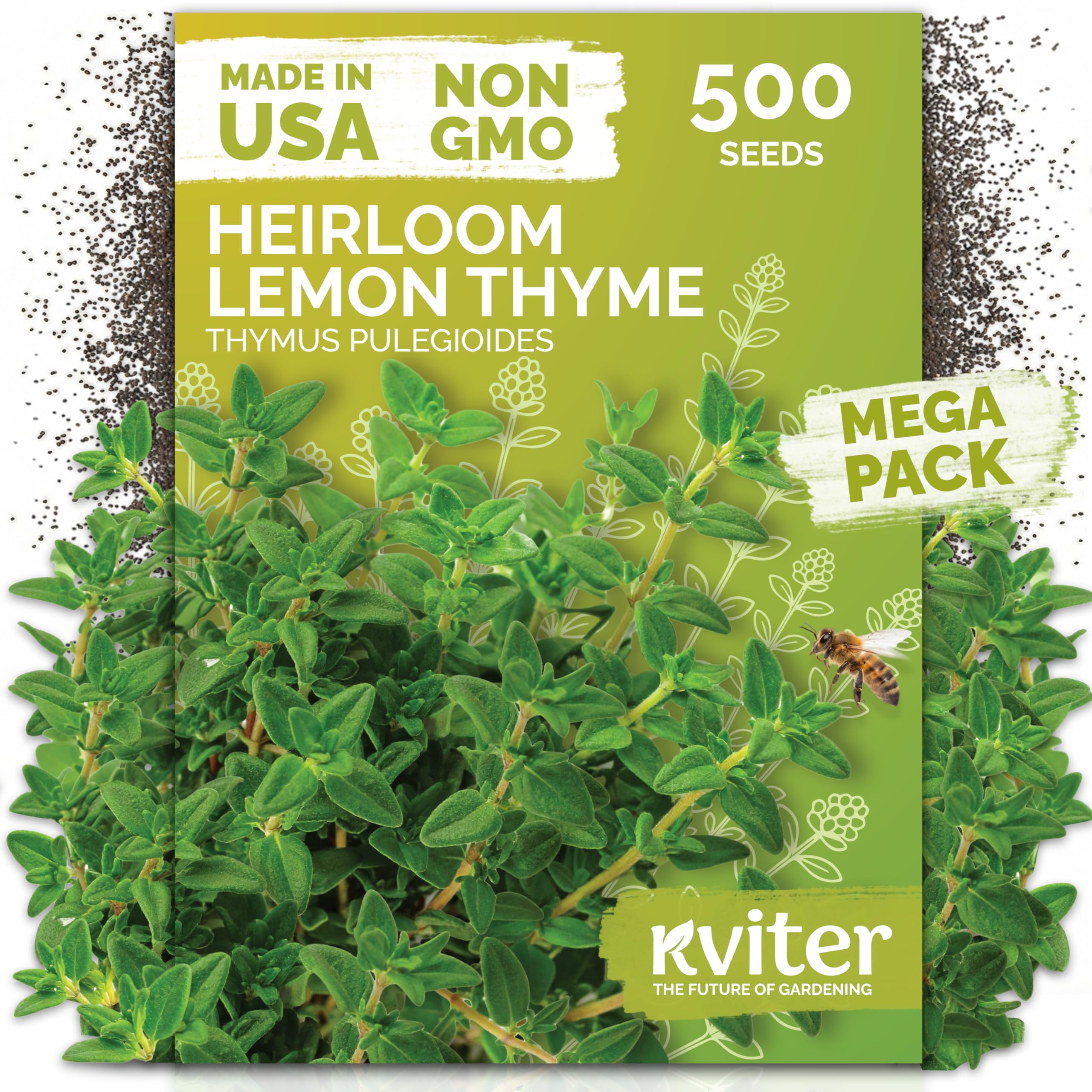KVITER 500 Lemon Thyme seeds packaging ready for outdoor planting in sunlit beds