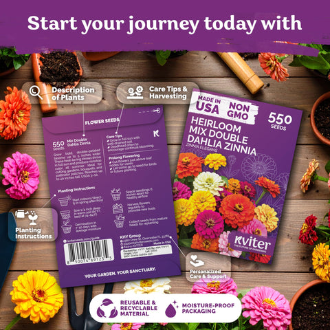 KVITER 550 Dahlia Zinnia Seeds double-blooms for vibrant mixed-color bouquets.