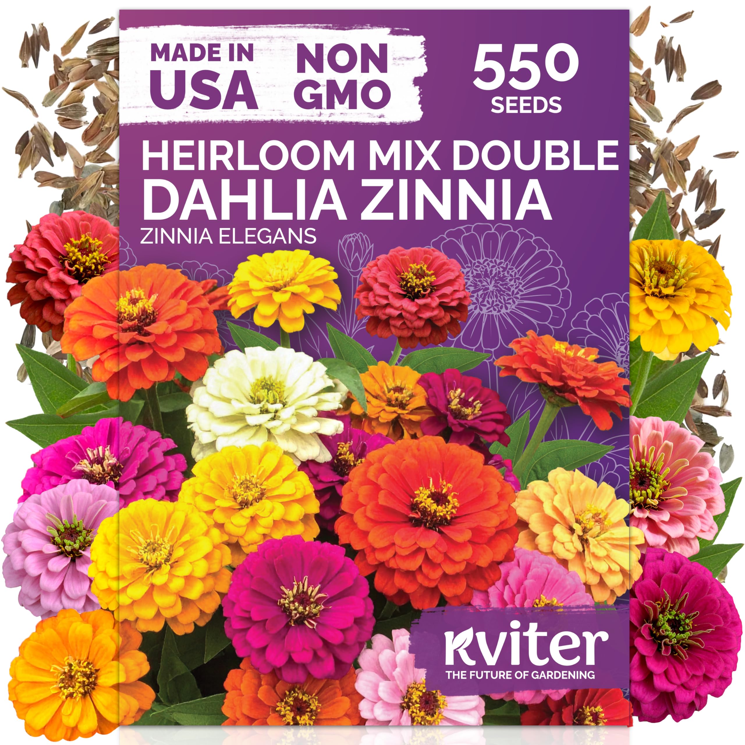 KVITER 550 Dahlia Zinnia Seeds pack for easy outdoor planting in beds.