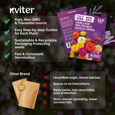 KVITER 550 Dahlia Zinnia Seeds pollinator-friendly, attracting bees and butterflies.