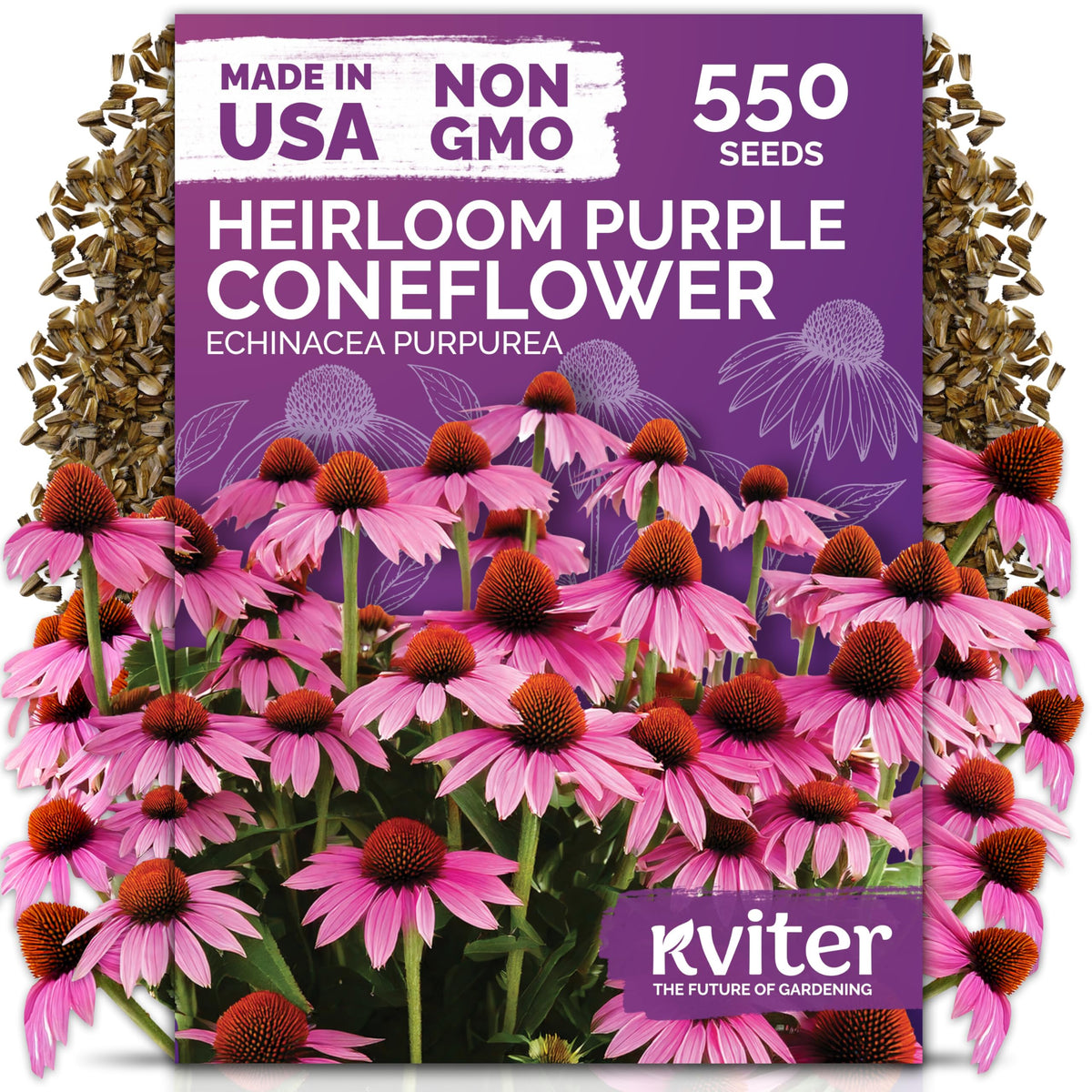 KVITER 550 purple coneflower seeds packet—ready to plant for pollinator-friendly gardens.