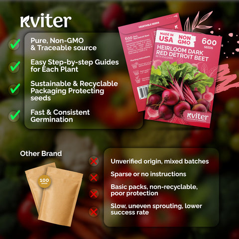 KVITER Detroit Dark Red Beet garden bed setup, prepared soil for planting
