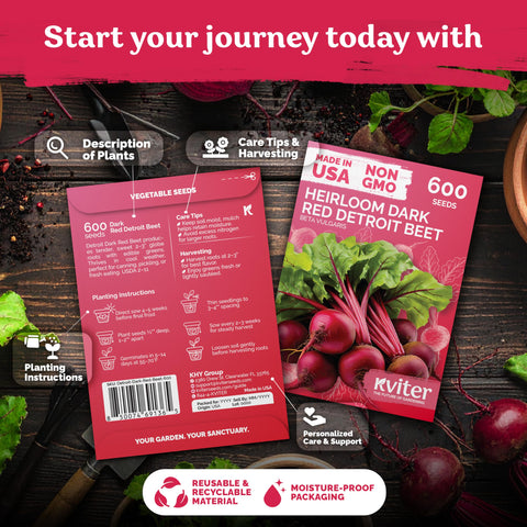 KVITER Detroit Dark Red Beet seeds in soil, direct sow for cool-season harvest