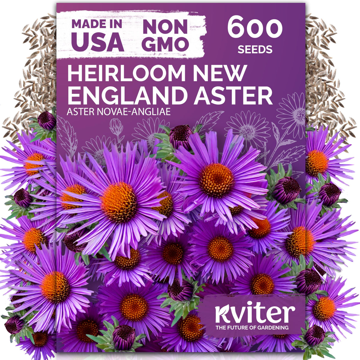 KVITER 600 New England Aster seeds packaging for easy planting