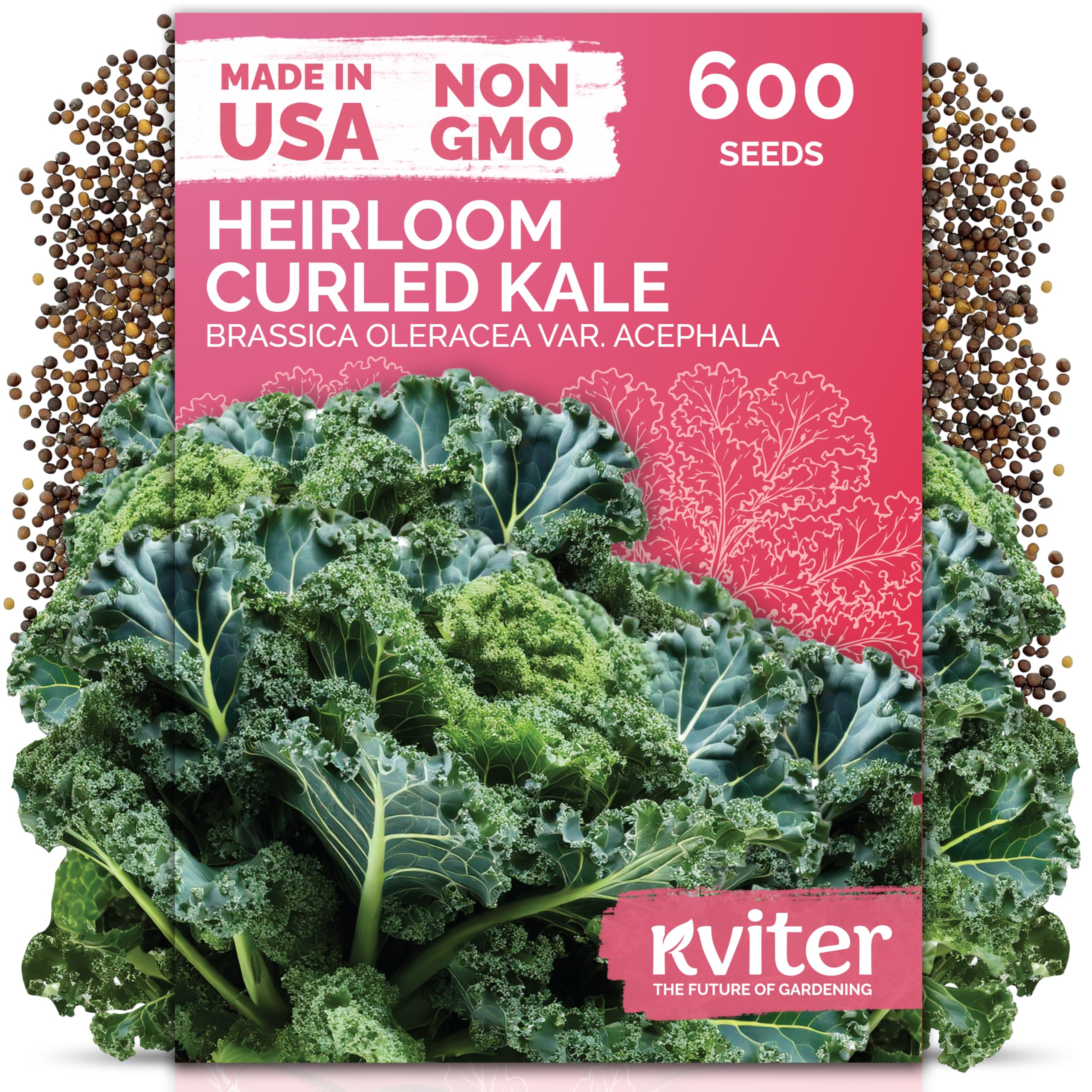 KVITER 600 Vates Blue kale seeds packaging for cool-season outdoor planting
