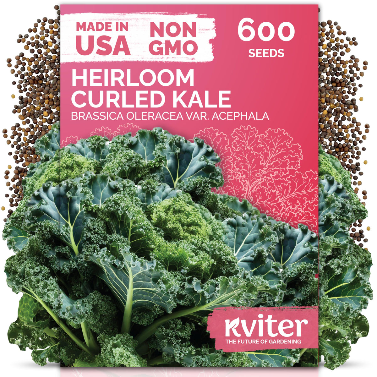 KVITER 600 Vates Blue kale seeds packaging for cool-season outdoor planting