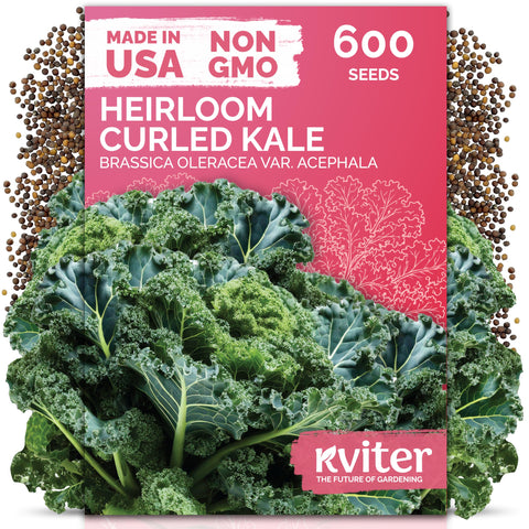 KVITER 600 Vates Blue kale seeds packaging for cool-season outdoor planting