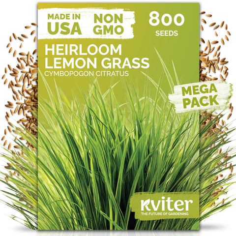 KVITER 800 Lemongrass seeds packet ready to start a fragrant indoor herb garden.