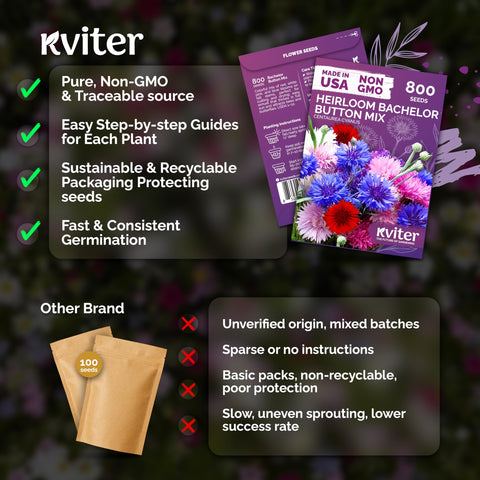 KVITER 800 Mix Bachelor Button Seeds yields long-lasting dried bouquet accents.
