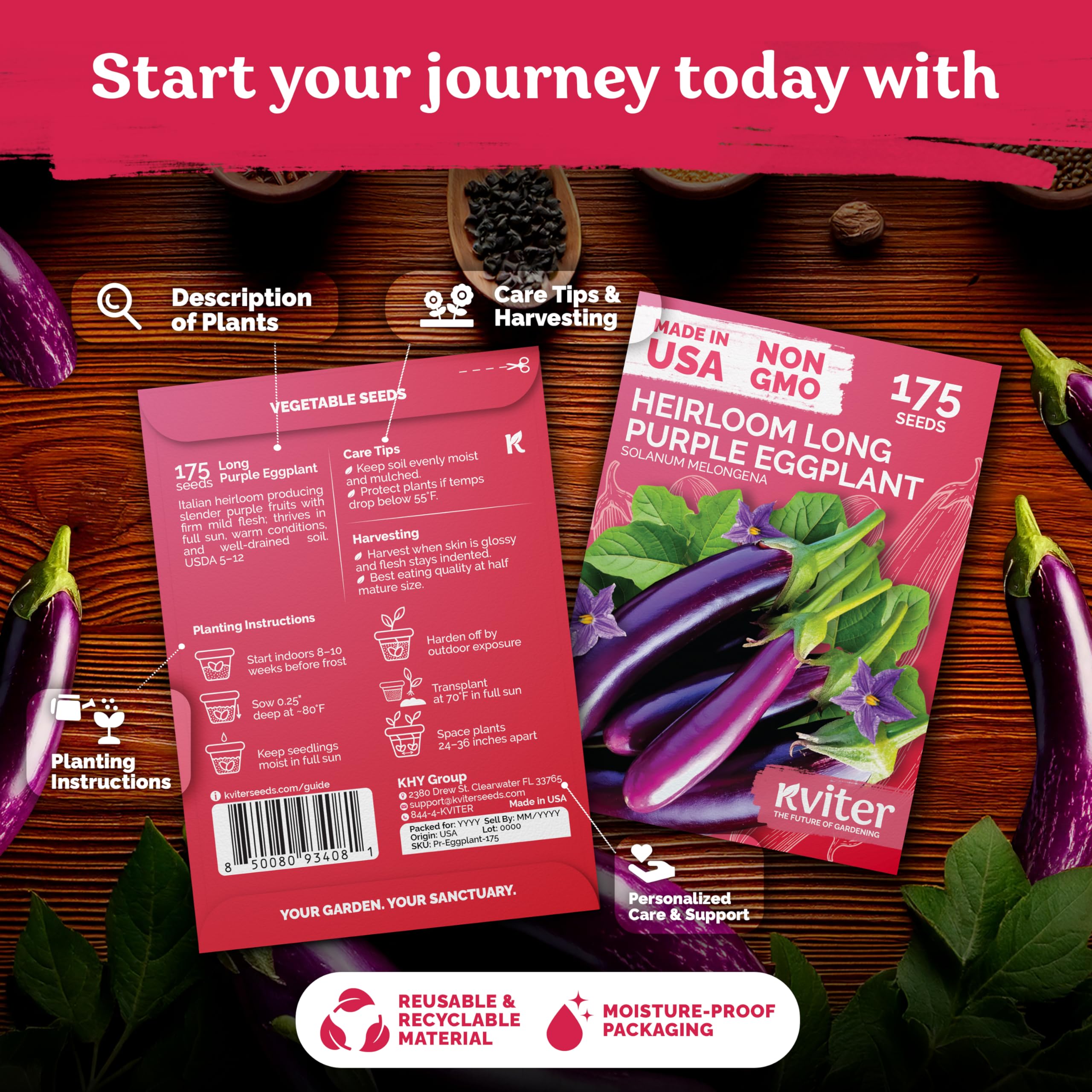 KVITER Asian eggplant seeds for indoor start guidelines promote early vigor and robust outdoor yields