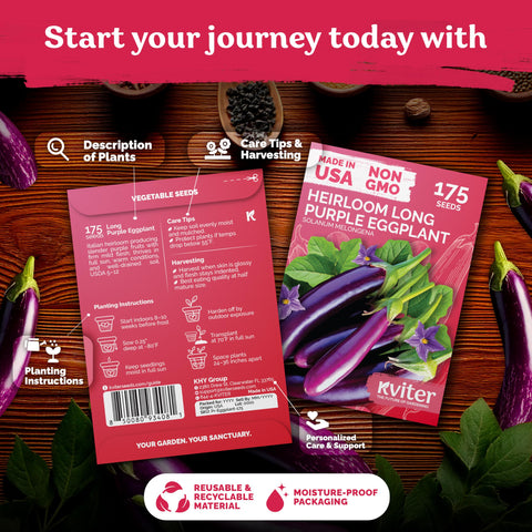 KVITER Asian eggplant seeds for indoor start guidelines promote early vigor and robust outdoor yields