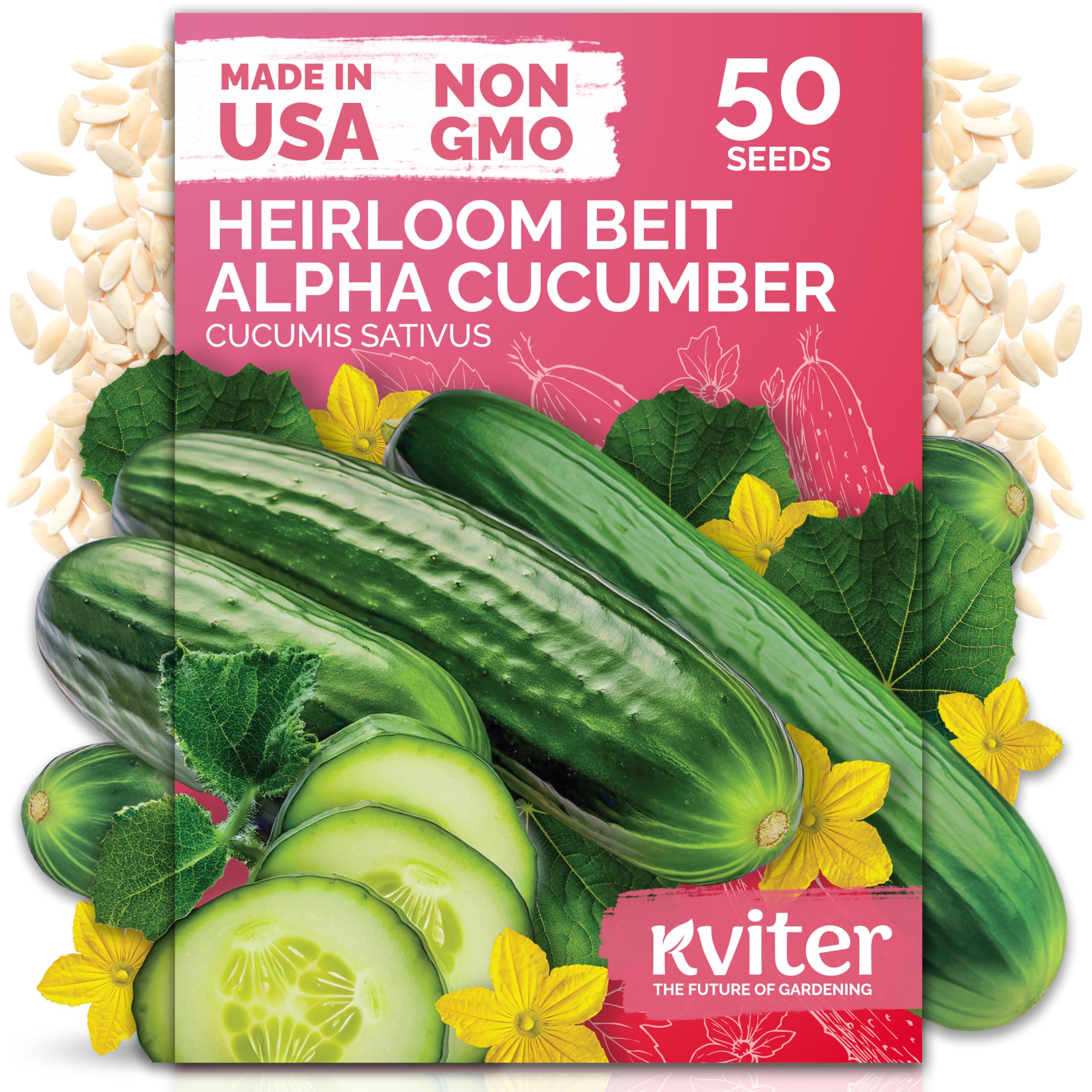 KVITER Beit Alpha cucumber seeds visible on compact vines ideal for small gardens
