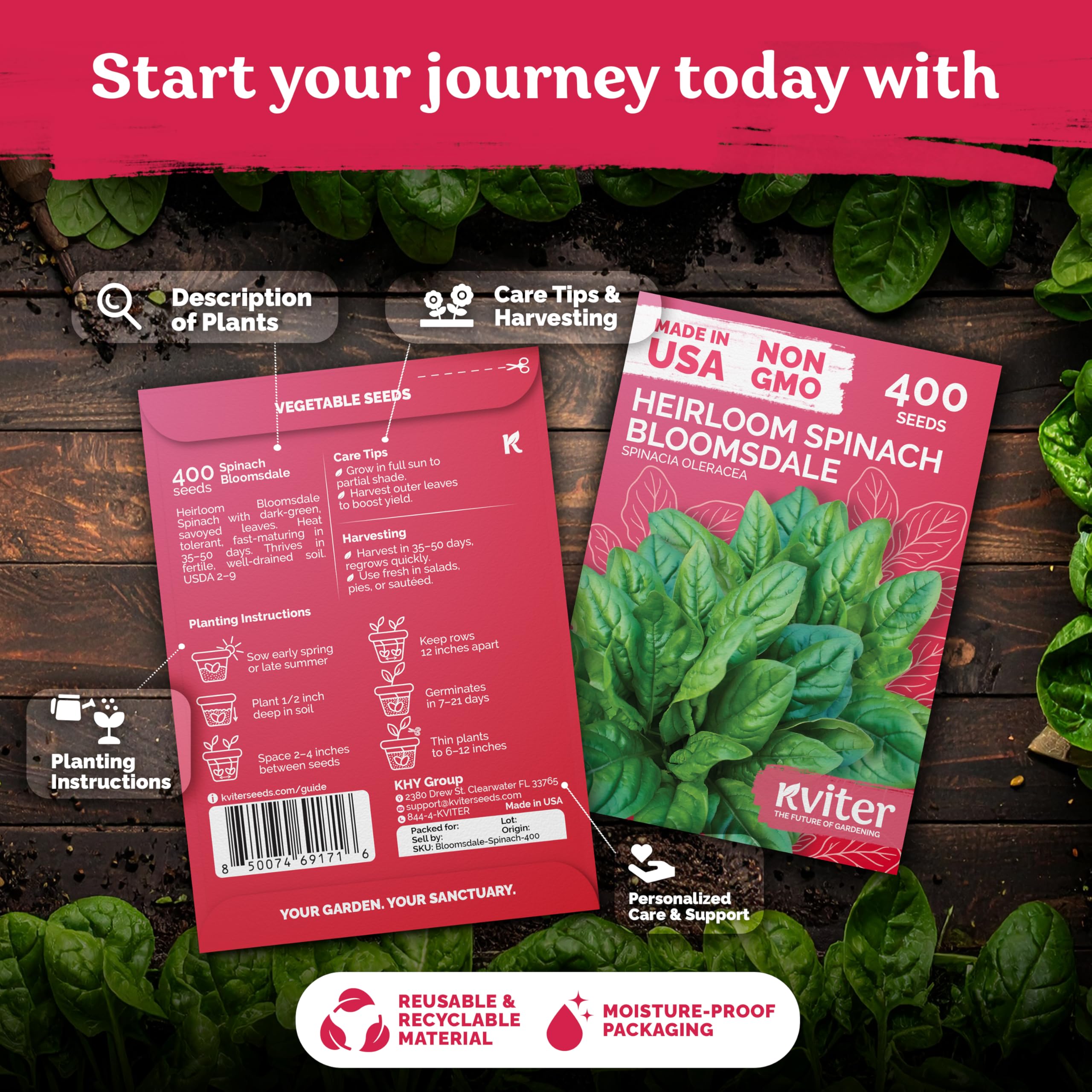 KVITER Bloomsdale spinach seeds germination—fast sprouts in 7–21 days for a reliable start.