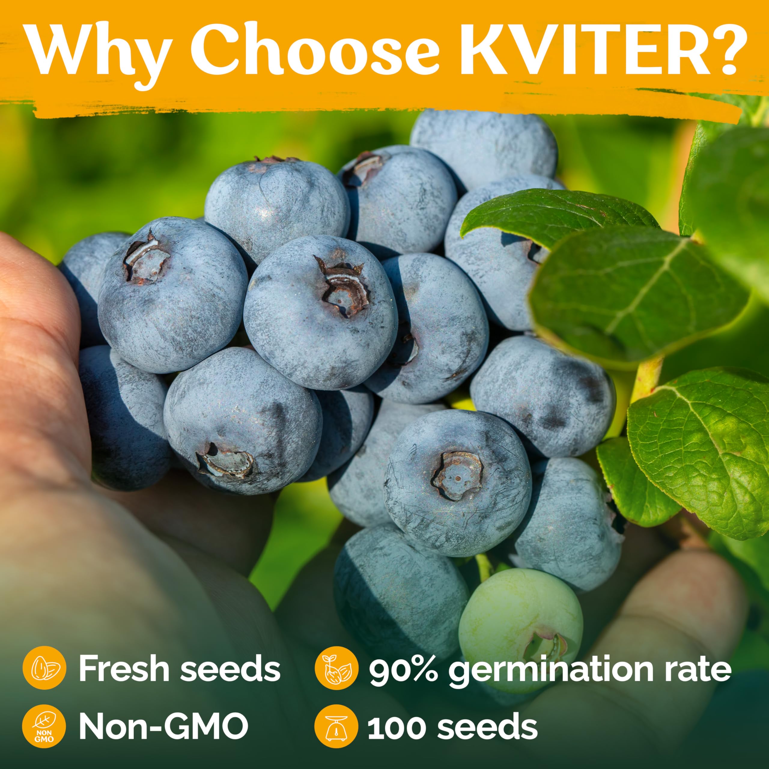 KVITER seeds thrive in full sun or partial shade for flexible outdoor or indoor growing.