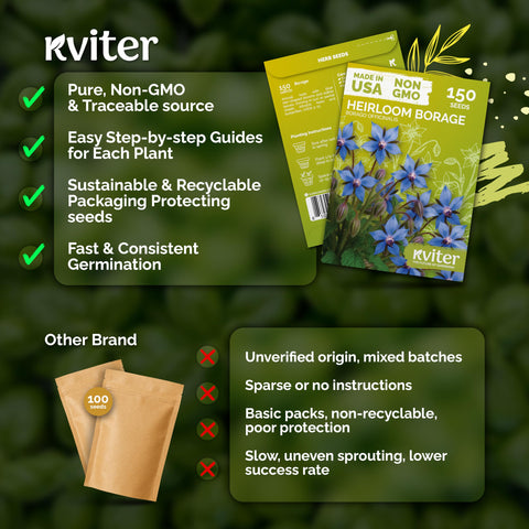 KVITER edible borage leaves harvested for teas and salads.