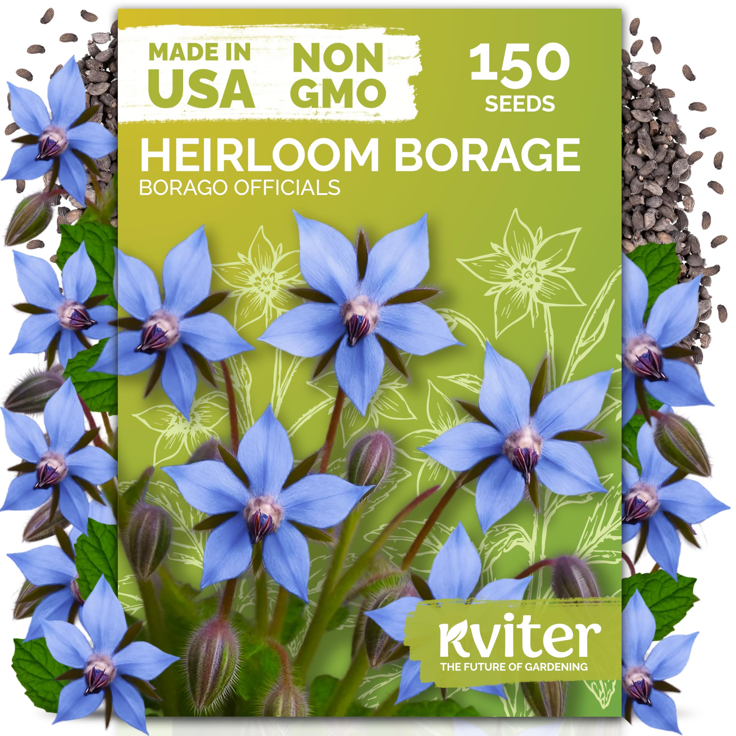 KVITER borage seeds packaging shown for easy organic sowing.
