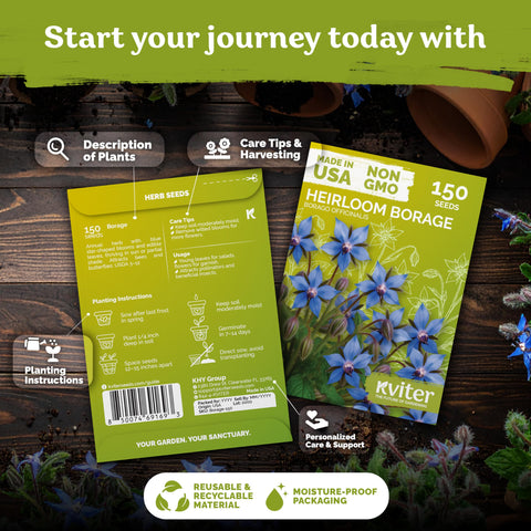 KVITER borage seeds shown for direct planting in garden.