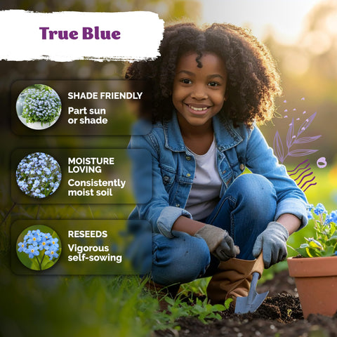 KVITER Border-friendly blue flowers provide vertical interest in low-maintenance beds.