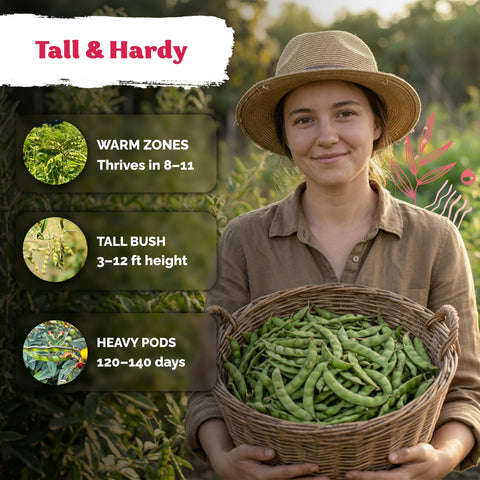 KVITER can grow 3–12 ft tall, ideal for trellises and vertical gardens.